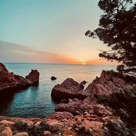 بيت ضيافة Vista D'ogliastra